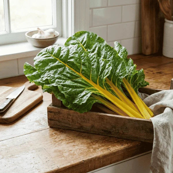 Golden Swiss chard organic seeds in Pakistan – Apnaugao