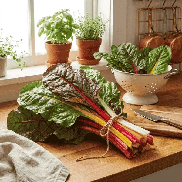 Organic red Swiss chard seeds for home gardening, vibrant red leafy vegetable rich in nutrients
