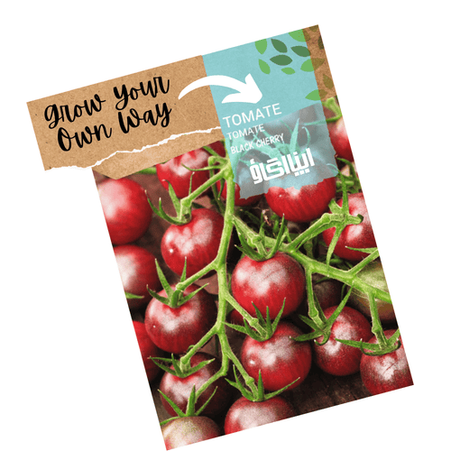Black Cherry Tomato Seeds – Heirloom Mini Tomatoes