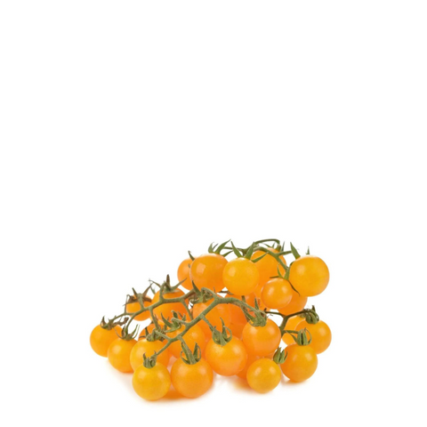 Heirloom Cherry Tomatoes Yellow Seeds -Cereza Amarilla