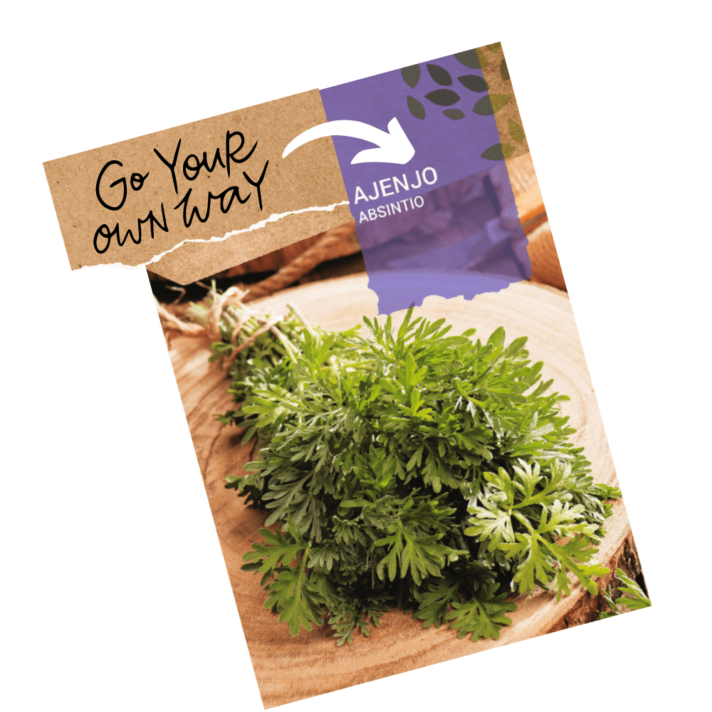 Artemisia absinthium herbs seeds