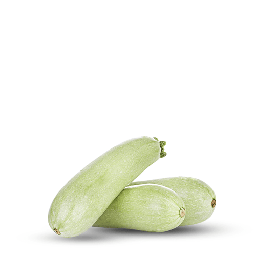 Heirloom Zucchini Seeds – Elegant White Italian Squash
