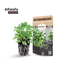 Alfalfa microgreens with packaging on a white background