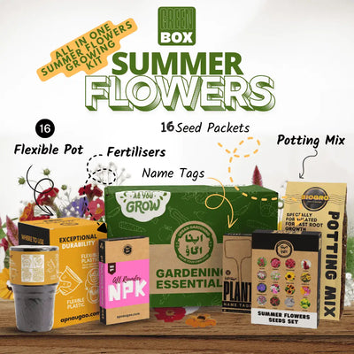 Summer Flowers Garden Kit GREEN BOX – all-in-one DIY kit with 16 summer flower seeds, pots, potting mix and fertilizer for Pakistan home gardens