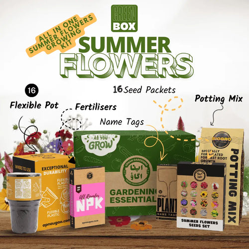 Summer Flowers Garden Kit - GREEN BOX
