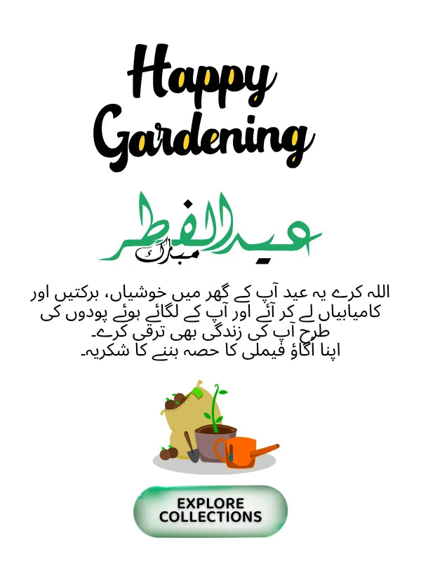 eid mubarak to all green thumbs in Pakistanslider_item_qR4GJC