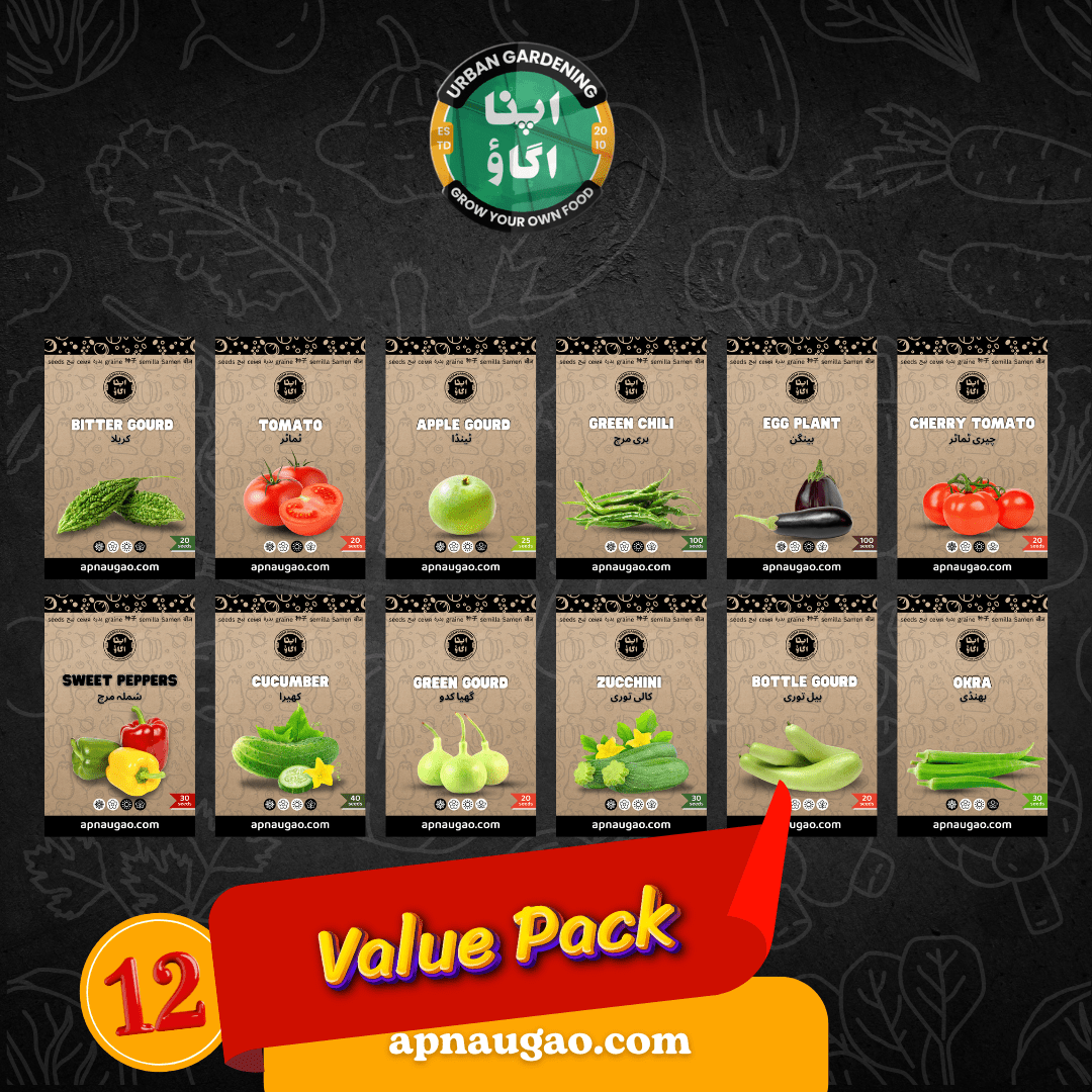 Desi Summer Vegetable Seeds Bundle - Apnaugao