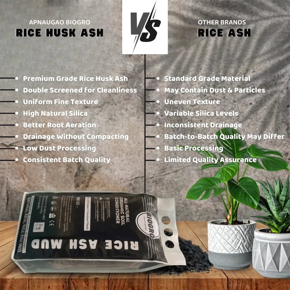 Premium grade rice husk ash