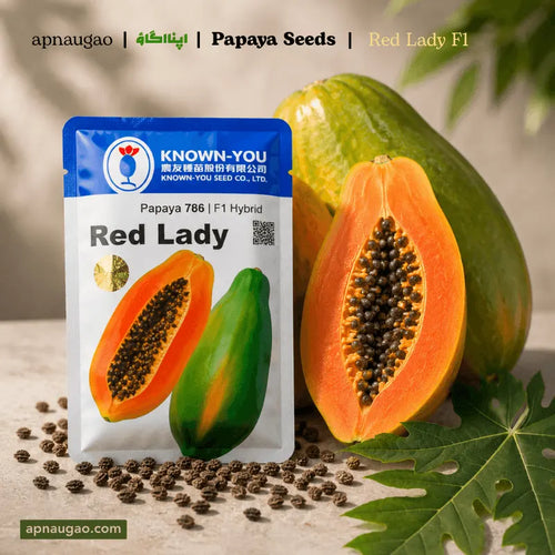 Papaya Red Lady F1 Hybrid Seeds – Tropical Fruit Plant