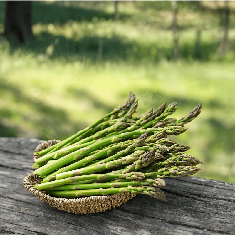 asparagus seed by apnaugao