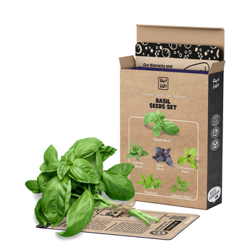 all types of basil seeds