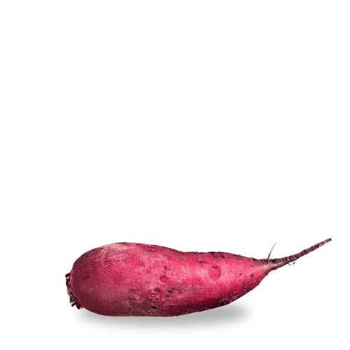 Heirloom Beetroot (Chukander) Seeds – Beterraba Cylindra