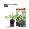 pink beetroot rasabi seeds in 5g packs