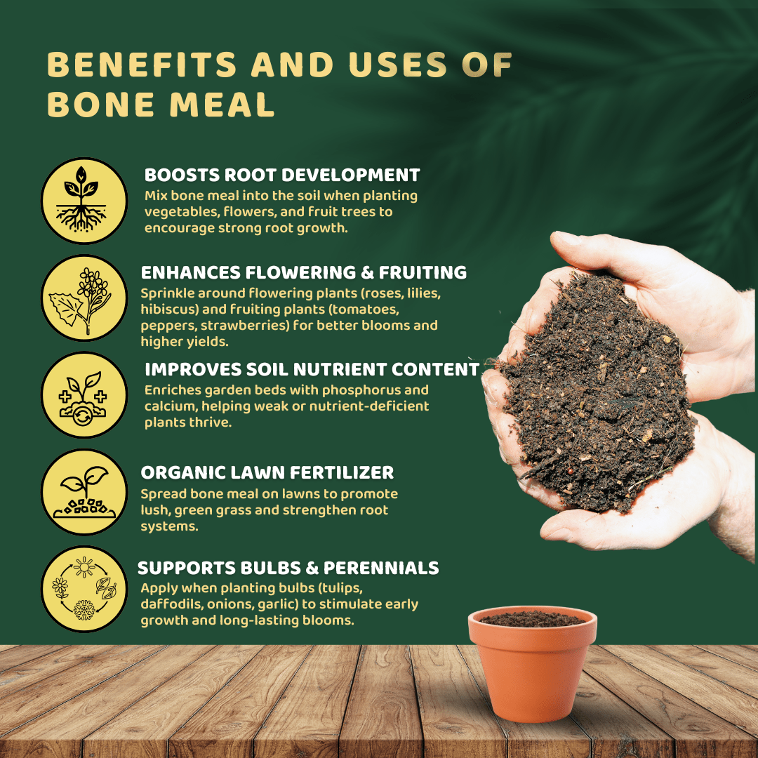 bone meal fertilizer nutrients BIOGRO Organic Bone Meal – Faster Root & Flower Growth