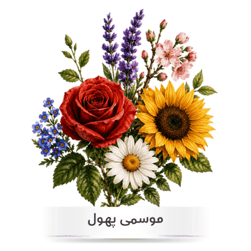apnaugao brings you best quality flower seeds in Pakistan