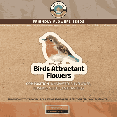 Birds Natural Attractant Flower Seeds Mix – 5-species blend with knapweed, sunflower, cosmos, millet and amaranthus to attract songbirds in Pakistan
