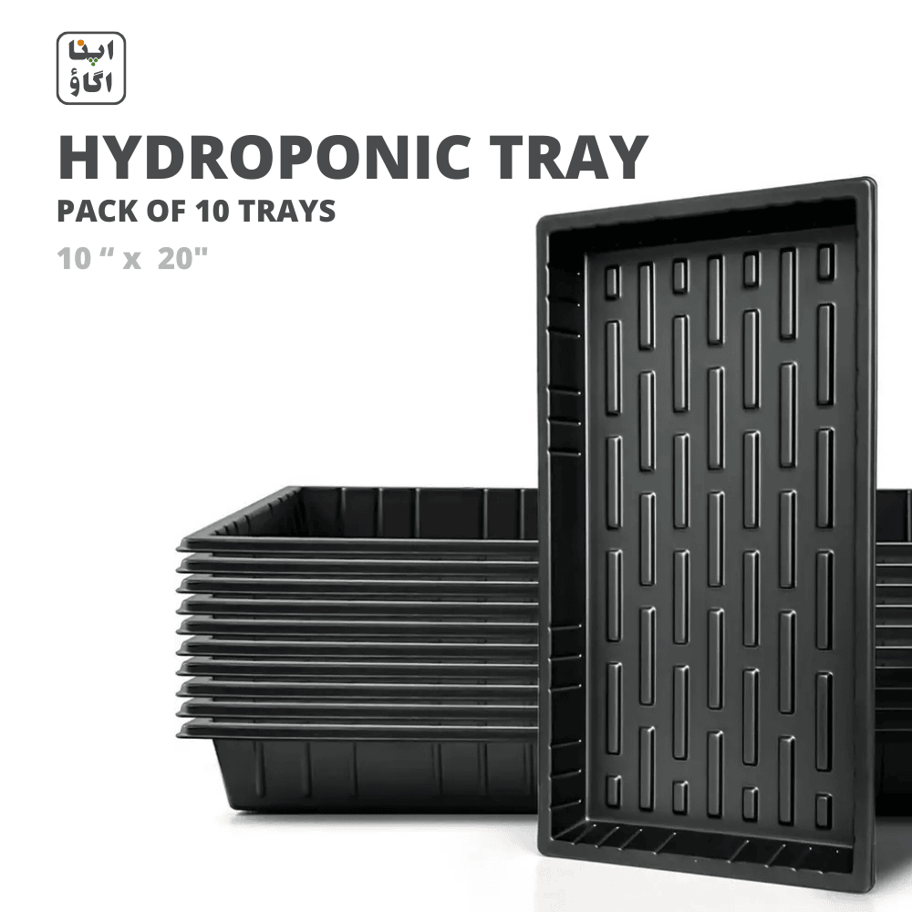 Easy to grow hydroponic trays for home gardening
