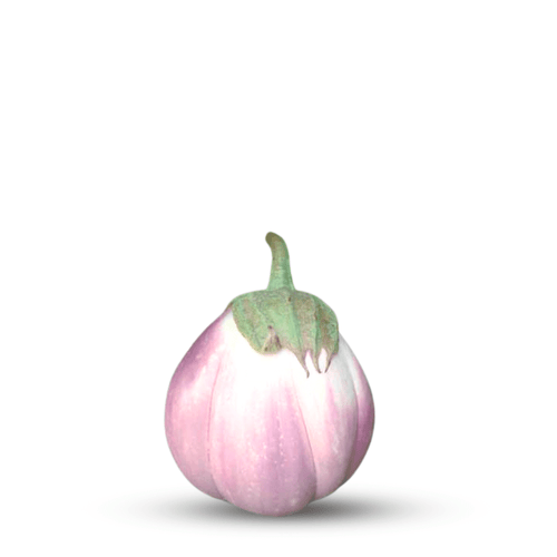 Heirloom Brinjal Rotonda Bianca Seeds – White & Purple Round