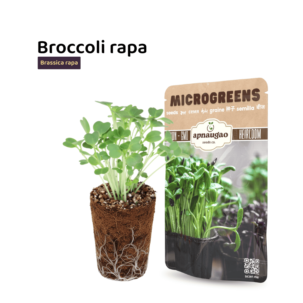 Microgreens in a pot and packaging with 'apnaagro' branding on a white background