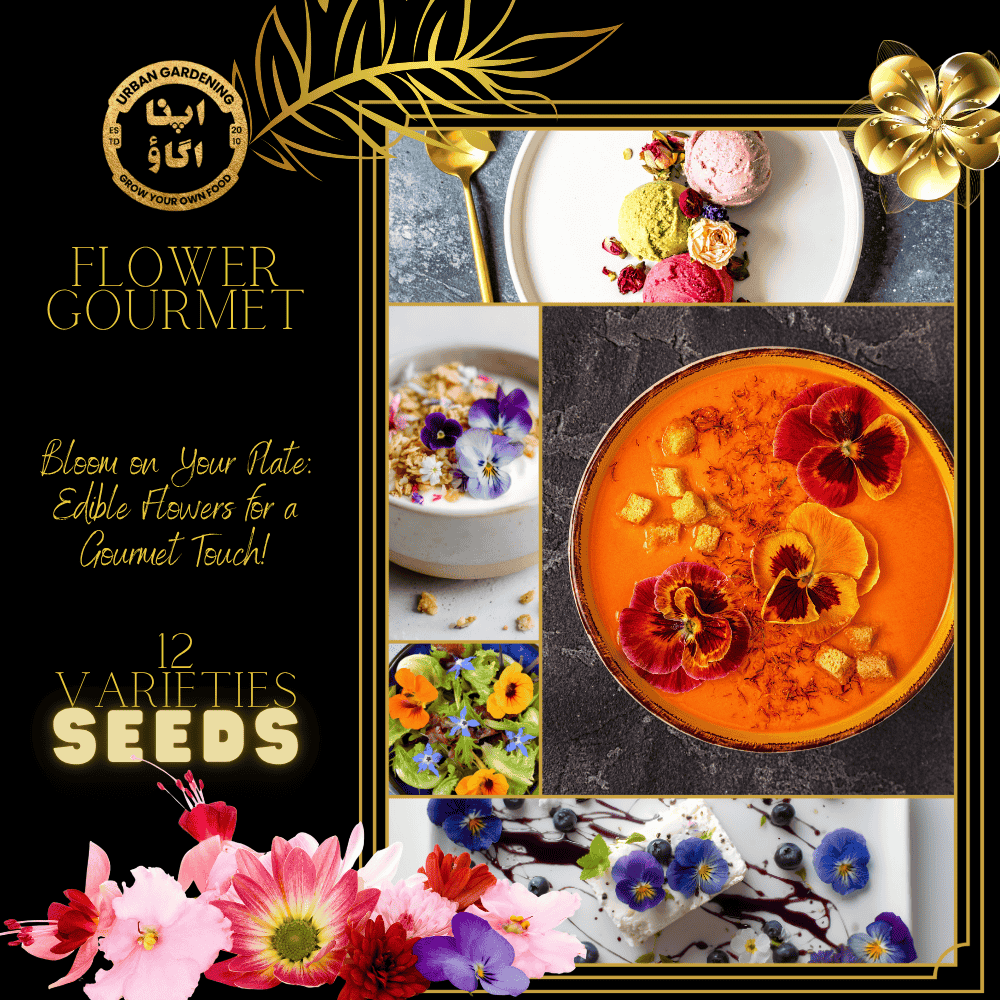 12 edible flower seeds mix bundle