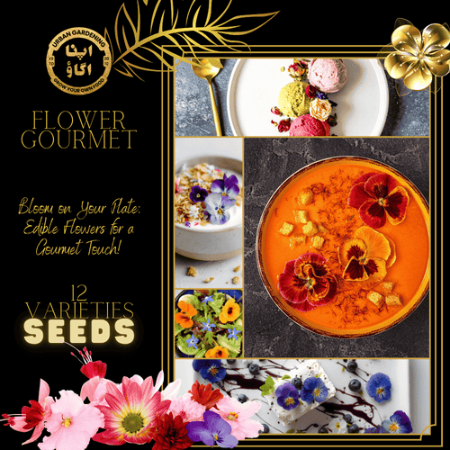Edible Flower Mix Seeds – Gourmet Blooms for Salads & Garnishes