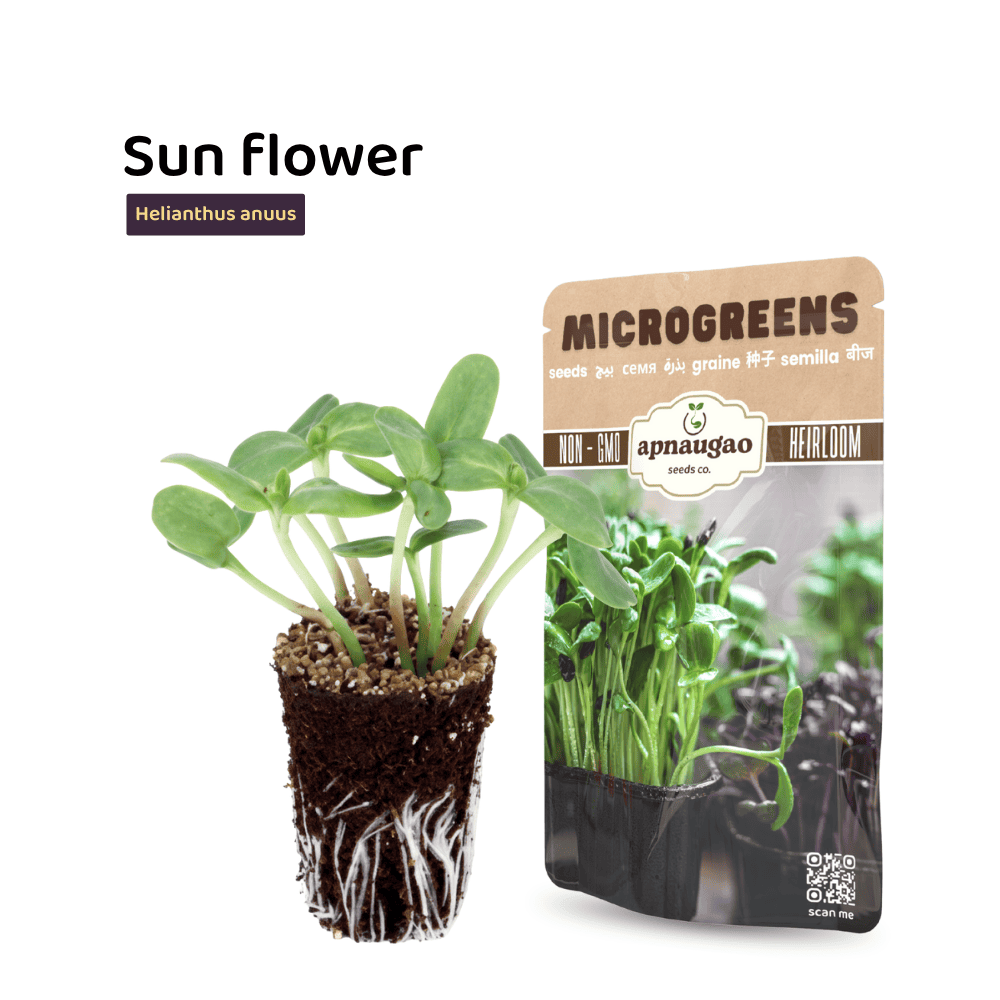 Sunflower microgreens with a package labeled 'apnaagro' on a white background
