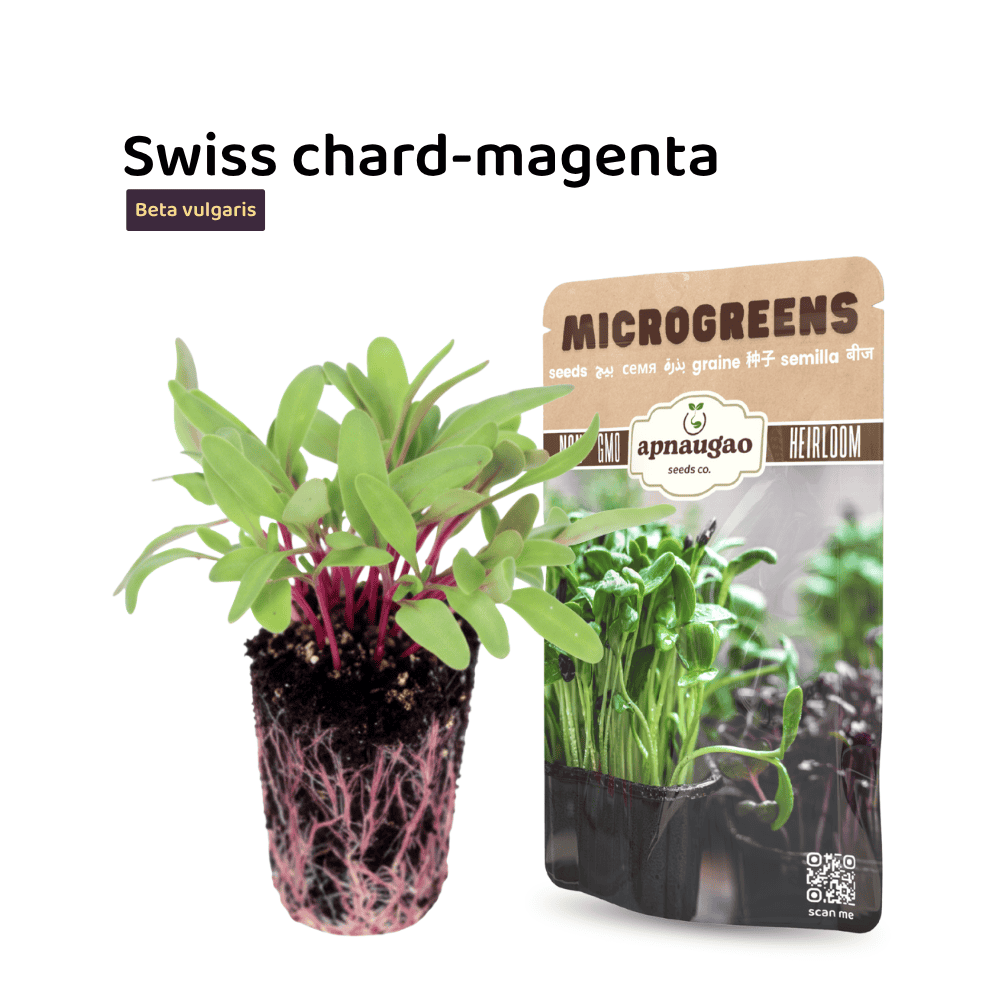 Microgreens package with Swiss chard-magenta plants and a visible brand label on a white background.