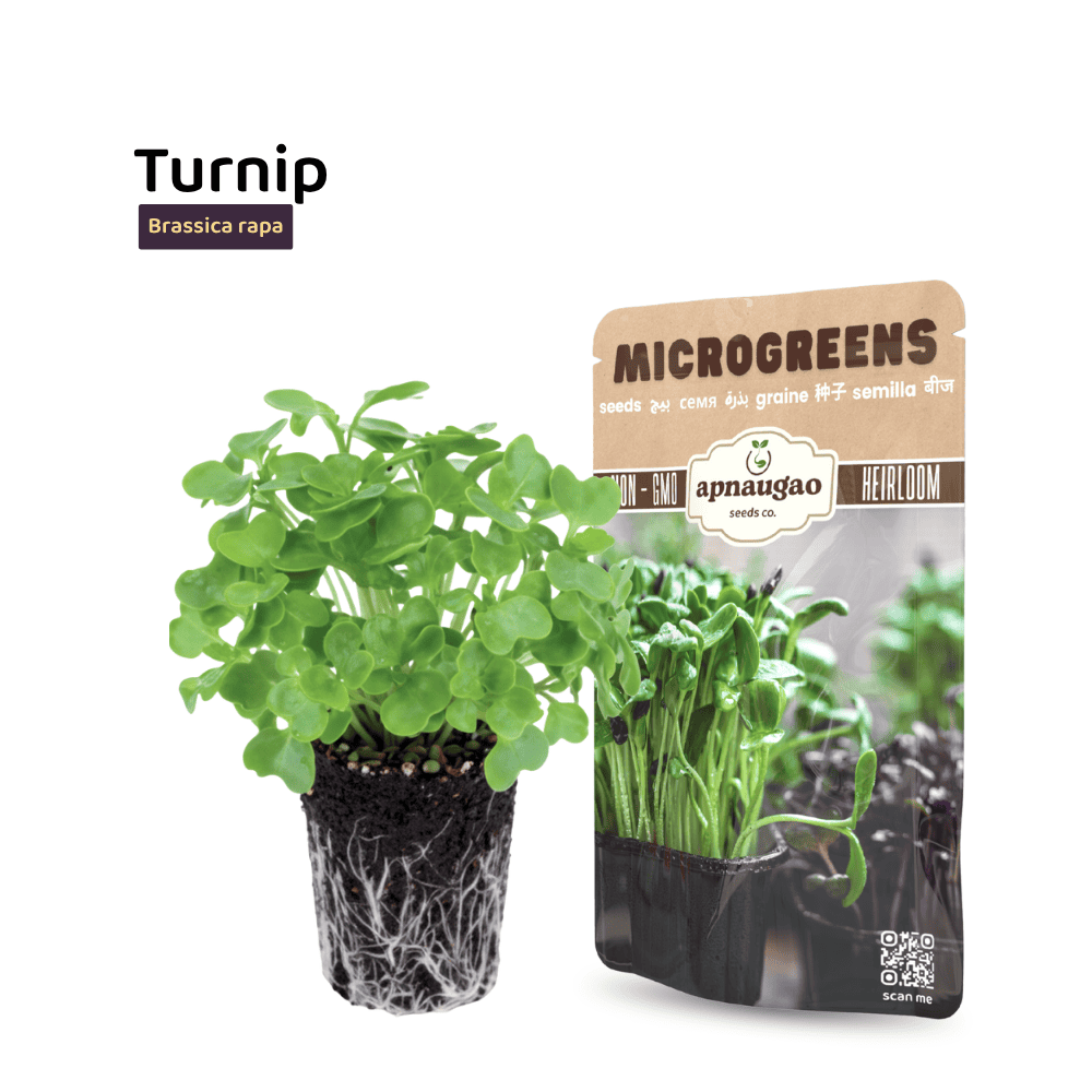 Turnip microgreens with a packaging label on a white background