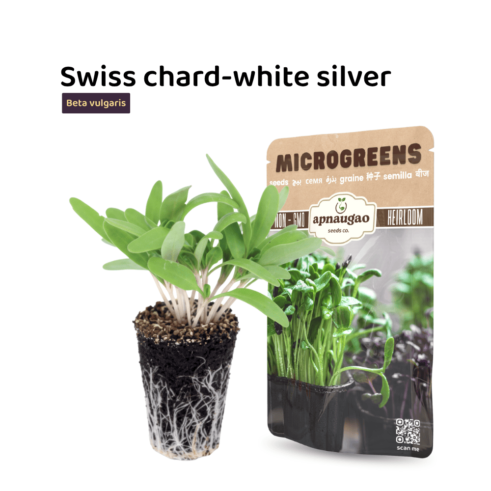 Swiss chard microgreens with a seed packet on a white background