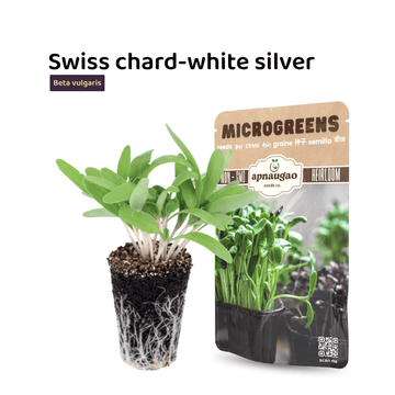 Swiss chard microgreens with a seed packet on a white background