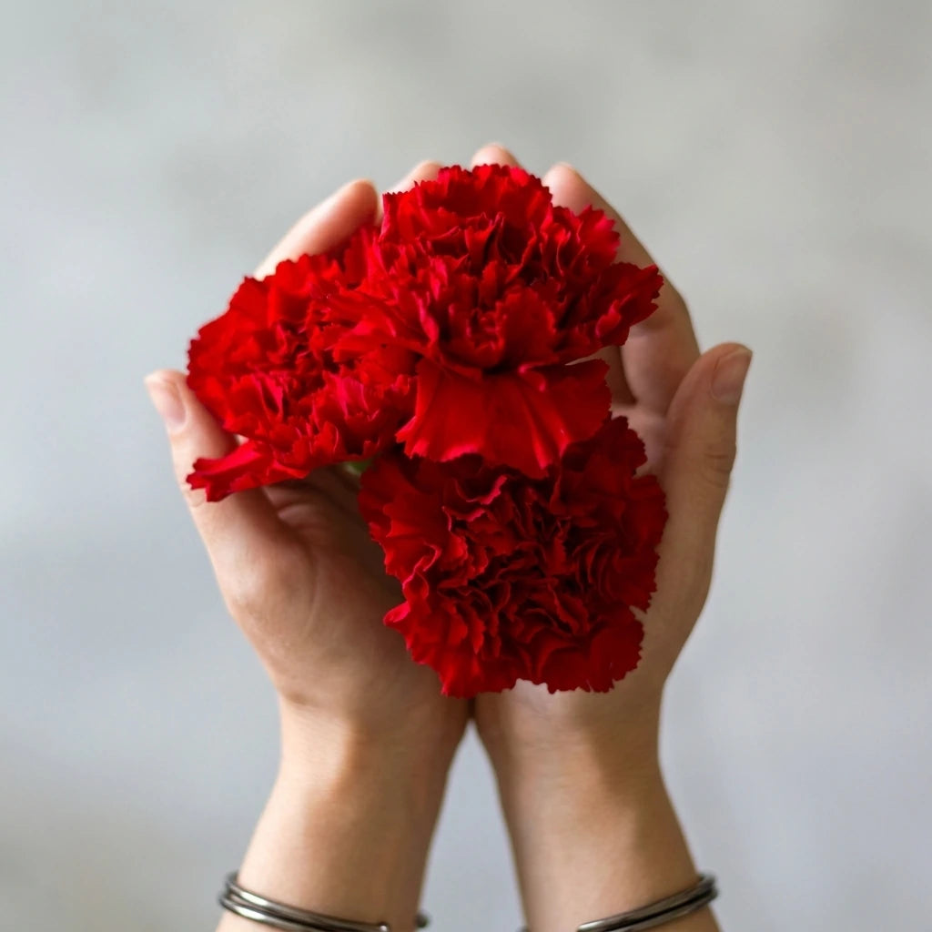 Carnation Flower Seeds - Red Etincellant