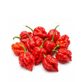buy world hottest hot chili pepper carolina reaper seeds
