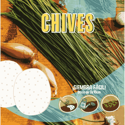 Chive Seeds Disc - Apnaugao