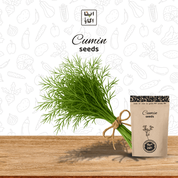 Cumin (Zeera) Herb Seeds – Warm, Aromatic Spice Crop