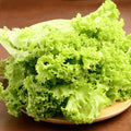 Fresh curly endive frisée salad greens