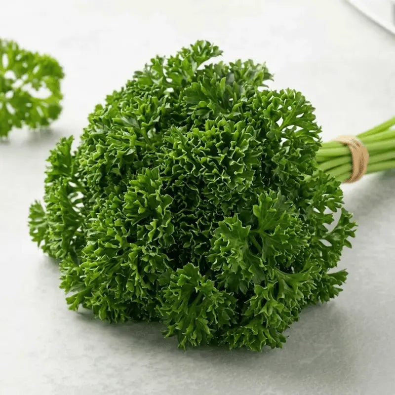 grow your own curly parsley at home in Pakistan