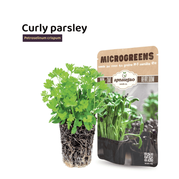 Curly parsley plants with a package labeled 'Microgreens' on a white background