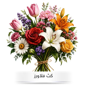 Cut flower seeds for home gardening in Pakistan
