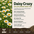 Daisy Crazy flower seed mix – daisy seeds in Pakistan | Apnaugao