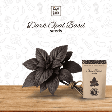 purple basil seeds by available in Pakistan