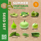 Desi Summer Vegetable Seed Set