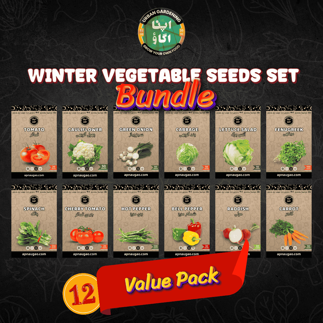 12 winter seeds packets discounted bundle 