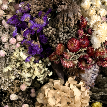 Mixed Flowers Seeds for Dry Bouquets