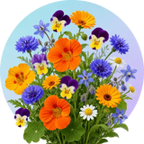 Edible Flowers