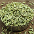 plant fennel plants at home gardening 