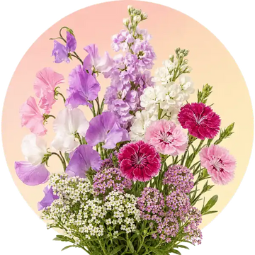 Fragrant flower seeds in Pakistan