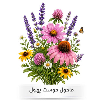 Pollinator friendly flower seeds in Pakistan