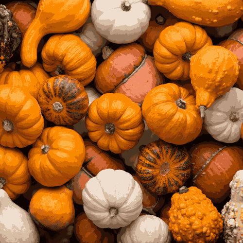 Ornamental Miniature Pumpkins – Mixed Seeds | Colorful, Decorative & Fun to Grow