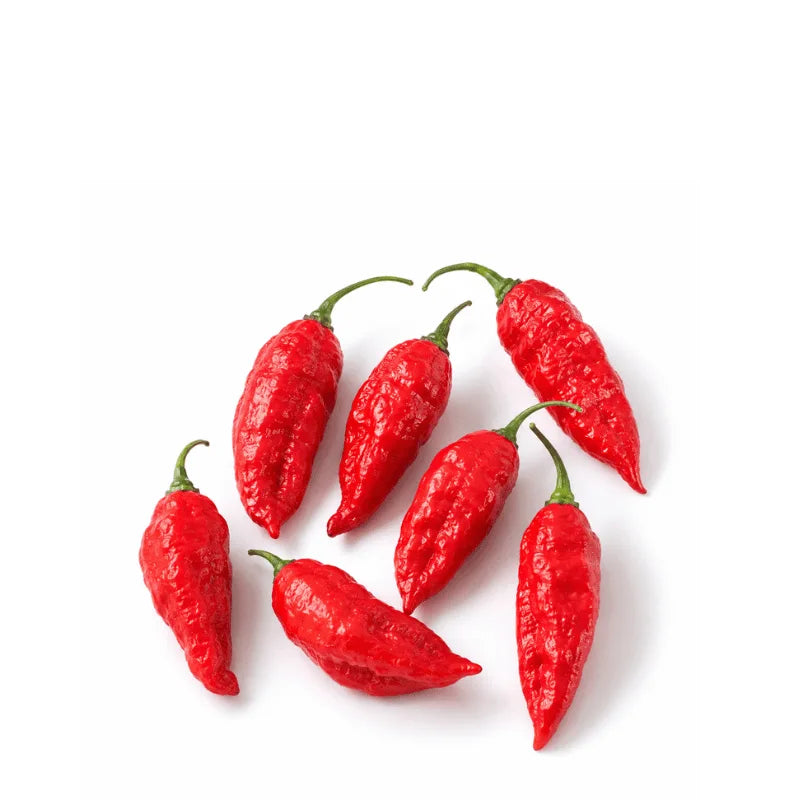 Bhut Jolokia Ghost Pepper seeds pack by Apna Ugao, available for home gardening across Pakistan.