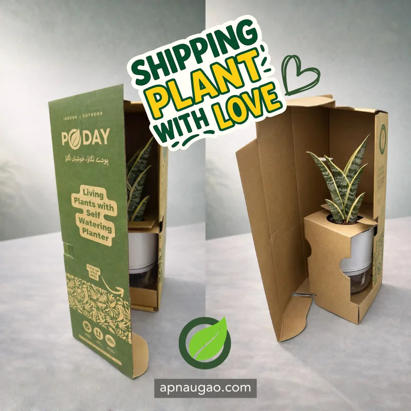 Potted plant in a cardboard box with 'Shipping Plant with Love' text and 'apnaugao.com' branding.